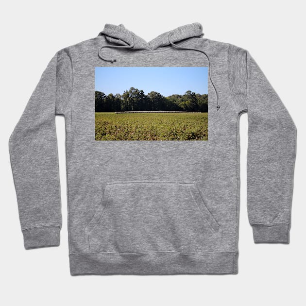 Hay Bales In Field Hoodie by Cynthia48